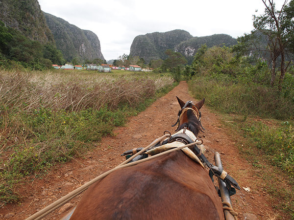 Charles D. Thompson, Jr., Viñales valley horse cart heading back to town, Viñales, Cuba, 2011.