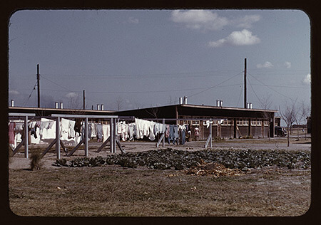 Arthur Rothstein, Community clothesline, FSA camp, Robstown, Texas, 1942.