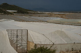 John Howard, Plásticos, Near Bomb Site #2, Palomares, Spain, April 2011. From "Palomares Bajo."