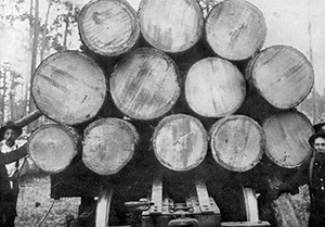 A log train with cut, stacked timber, near Lockhart, Alabama. American Lumberman 1907, Part 1, January–June 1907, Forest History Society archive.