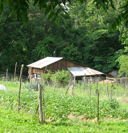 Crystal Bowne, Back-to-the-Land Ozarker Gardens, Newton County, Arkansas, 2010.