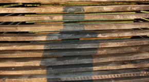 Dan Albergotti, Self-Portrait as Shadow on Skeletal Shed, 2008.