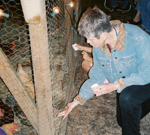 Allison O. Adams, A guest visits with the chickens at the first Cluckapalooza, Decatur, Georgia, September 2004.
