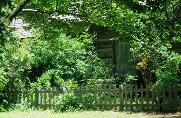 Mary Battle, Celestine Sibley's Sweet Apple cabin