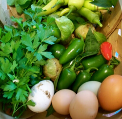 Allison O. Adams, Home harvest, including eggs, Decatur, Georgia, October 2009.