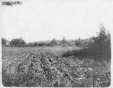 Looking West from Ponce de Leon Springs circa 1895 jpg image From the Healey Collection, courtesy the Atlanta-Fulton County Public Library