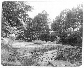 Ponce De Leon Springs circa 1895, from the Healey Collection, courtesy of the Atlanta-Fulton County Public Library