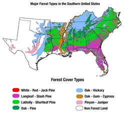 Major Forest Types in the Southern United States.