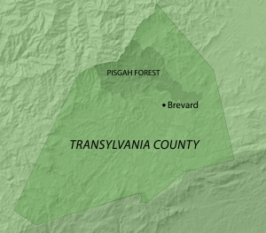 Location of the Pisgah Forest Precinct in Transylvania County, North Carolina. Map by Southern Spaces, 2014.