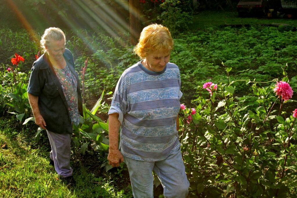 Sisters, in the glory of their garden. Letcher County, KY, 2005.
