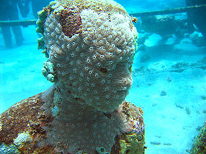 Underwater sculpture by Jason deCaires Taylor, Dragon Bay, Grenada, 2011. Photograph by Michael Brashier. Courtesy of Michael Brashier.