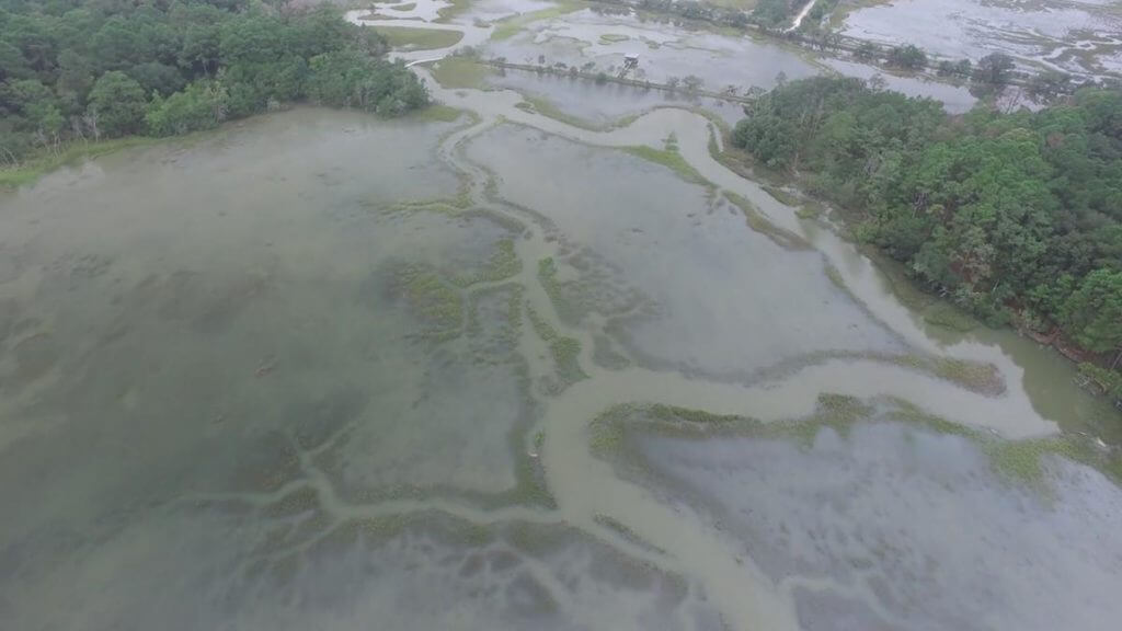 Internal Waterway, Sapelo Island, Georgia, 2015. Screenshot courtesy of Southern Spaces.