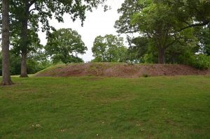Remnant of Fort Walker and rifle pit, Grant Park, Atlanta, Georgia, May 10, 2014. Photograph by Daniel Pollock.