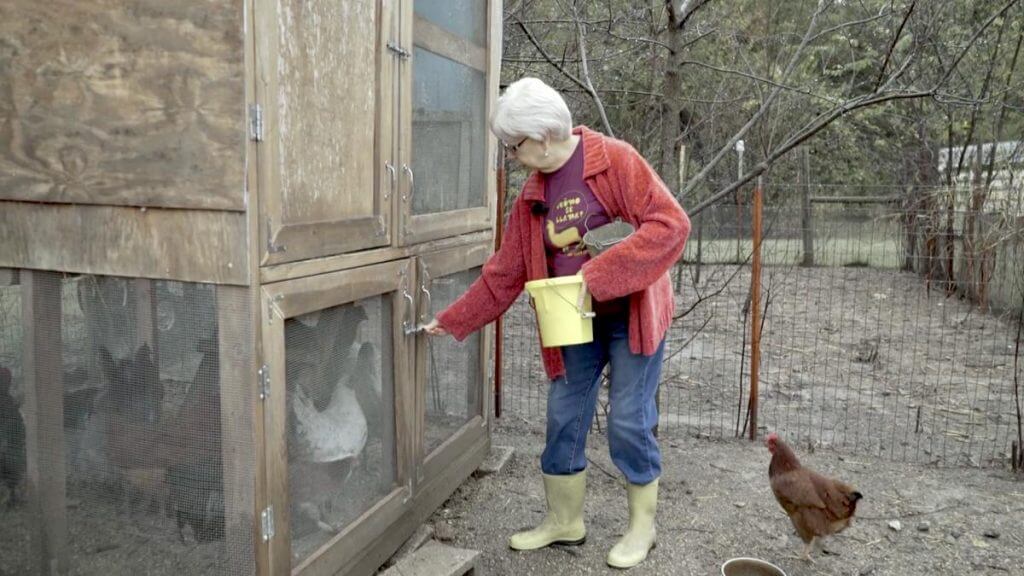 Rosemary McCombs Maxey feeding her chickens, Dustin, Oklahoma, 2015. Screenshot from Hearing the Call courtesy of Southern Spaces.