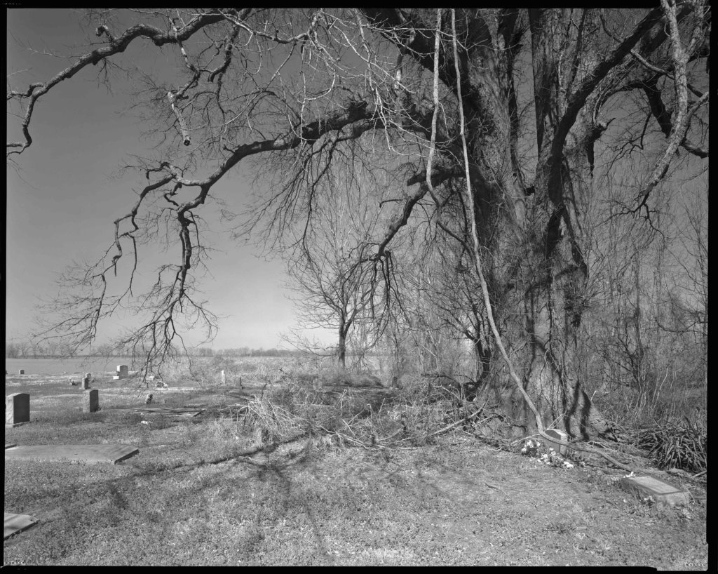 Shaw, Mississippi, March 2022. Photograph by and courtesy of Tom Rankin.