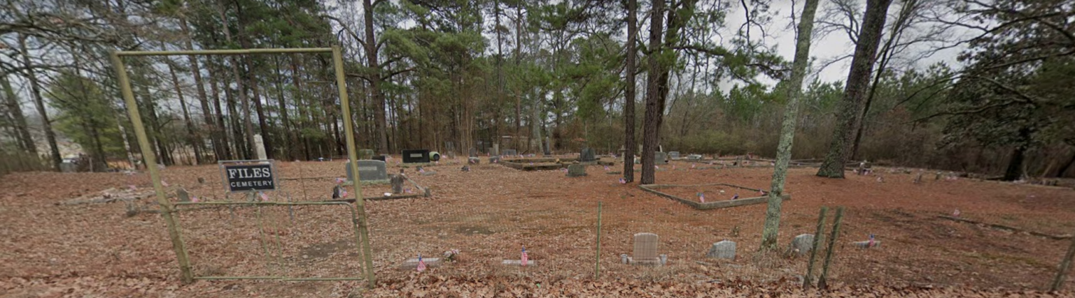 Screenshot from Google Earth of a barren cemetery in winter. A sign reads "Files Cemetery."