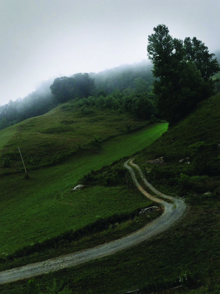 Dirt road going up a misty mountain.